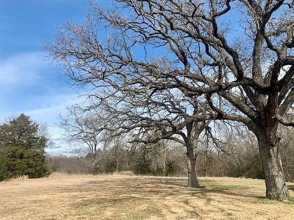 79.36 Acres of Recreational Land for Sale in Savoy, Texas