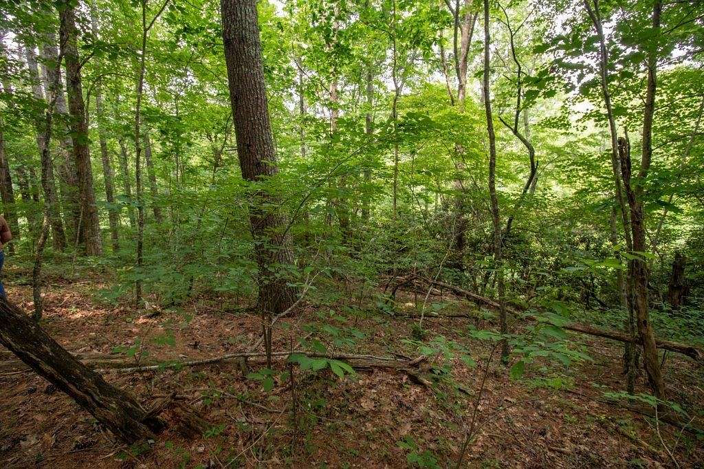 0.9 Acres of Residential Land for Sale in Laurel Fork, Virginia