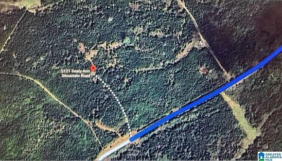 80.5 Acres of Land for Sale in Adger, Alabama