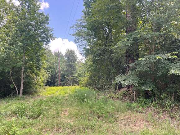 FM frontage with potential homesite