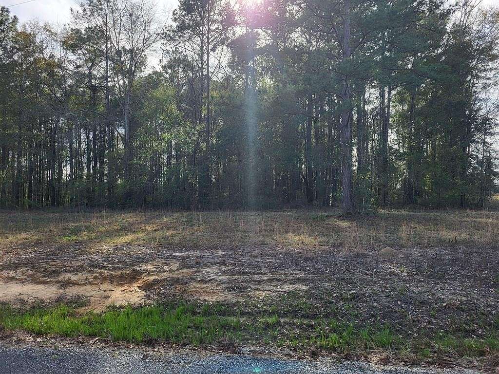 1.26 Acres of Residential Land for Sale in Abbeville, Alabama