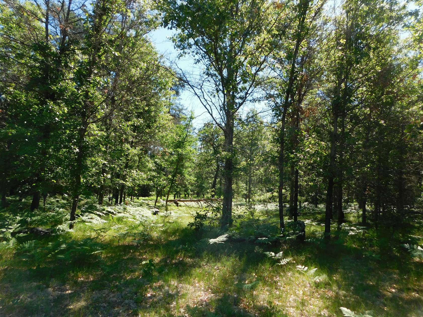 5 Acres of Land for Sale in Grayling, Michigan