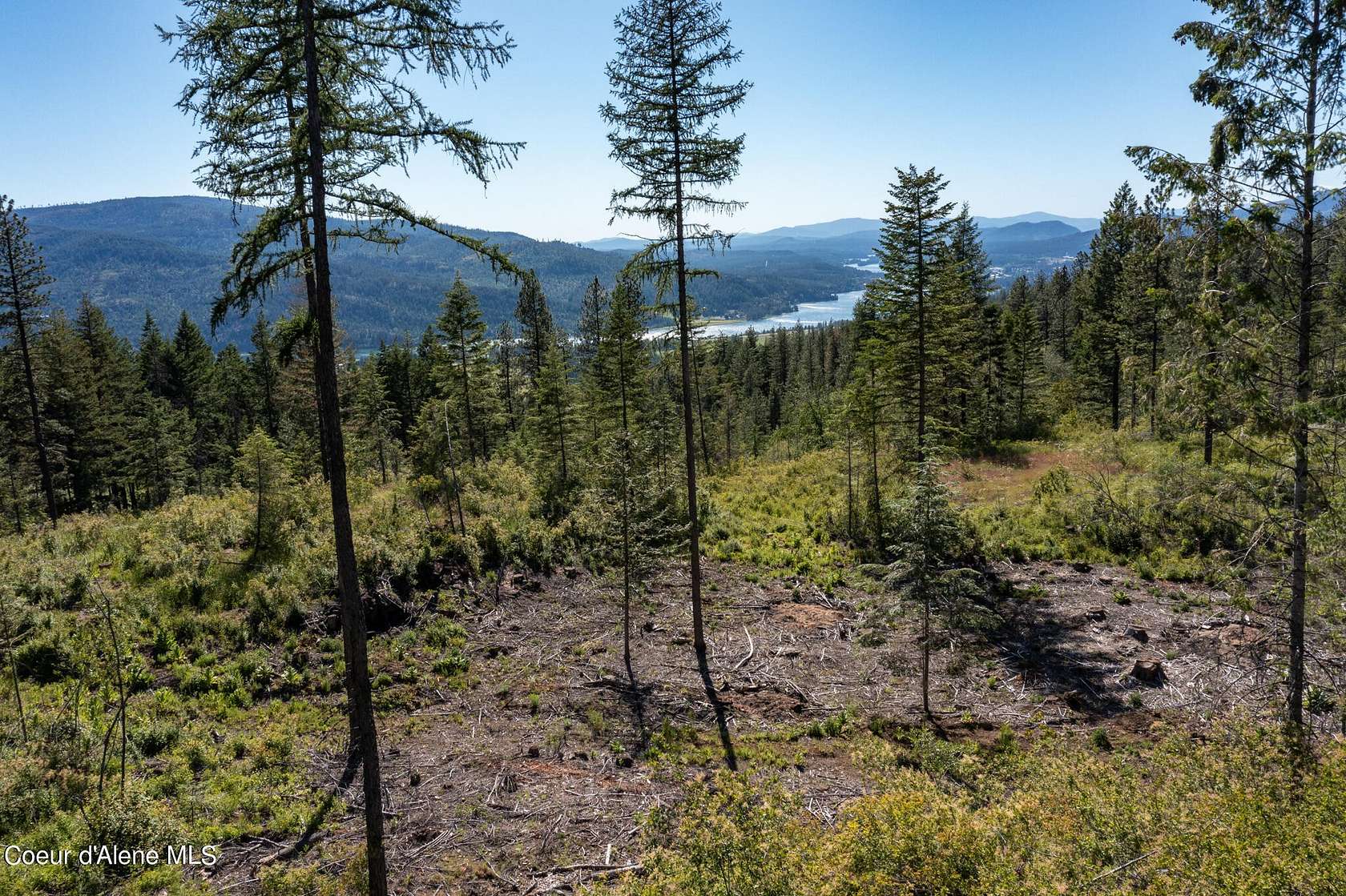 20 Acres of Recreational Land for Sale in Priest River, Idaho