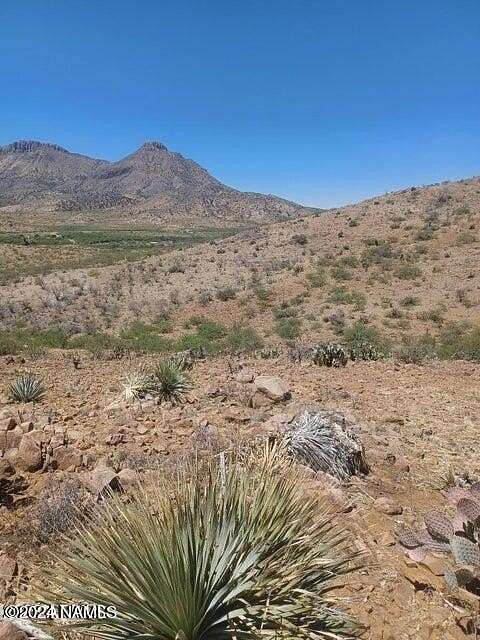 41.05 Acres of Land for Sale in Douglas, Arizona