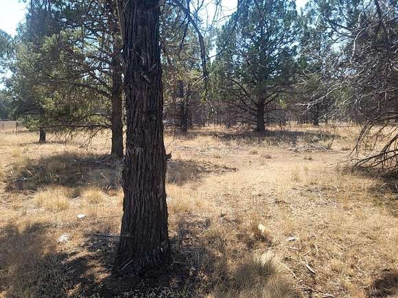 2.5 Acres of Residential Land for Sale in Dorris, California