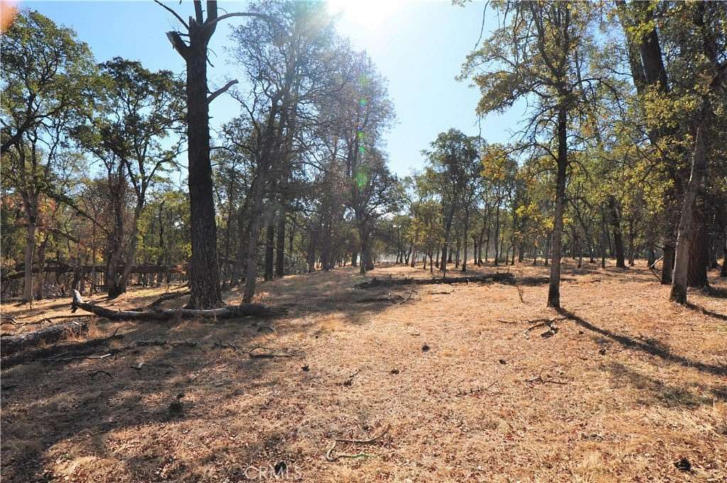 11.3 Acres of Land for Sale in Bangor, California