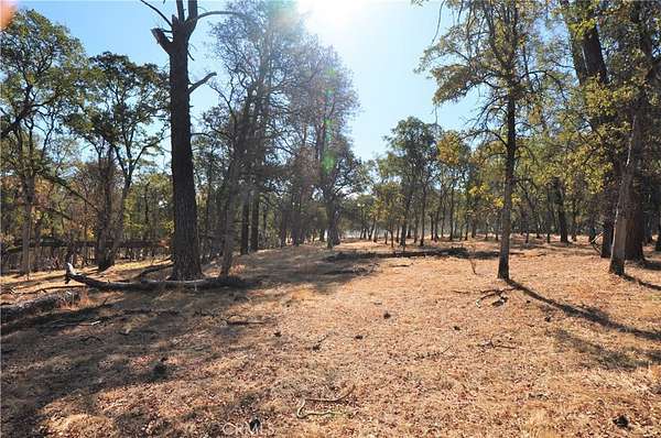 11.3 Acres of Land for Sale in Bangor, California