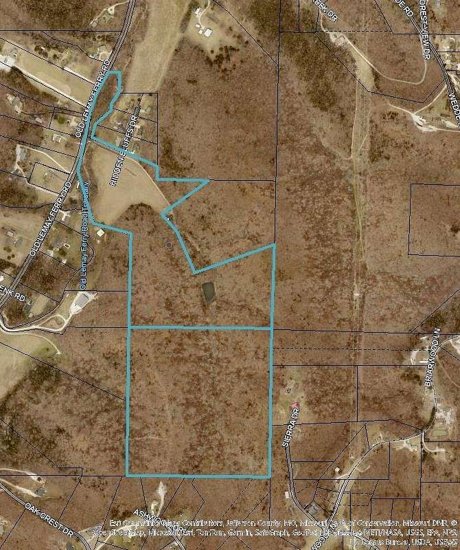 75.78 Acres of Land for Sale in Barnhart, Missouri