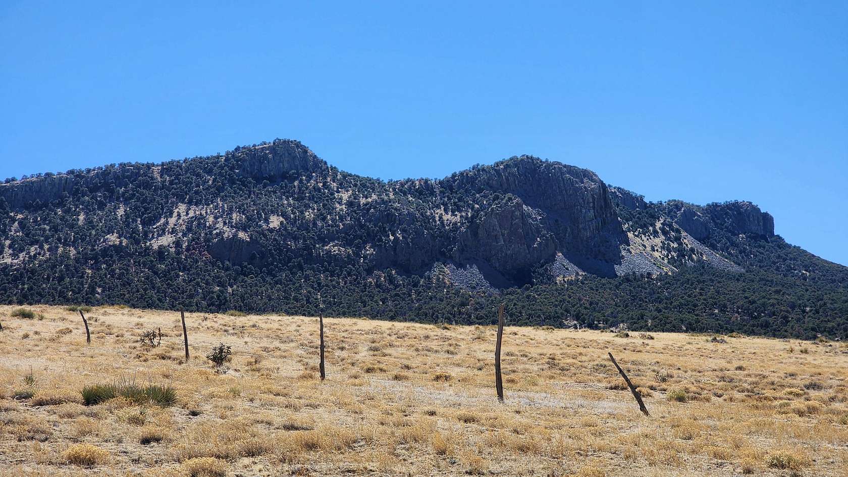 41 Acres of Land for Sale in Walsenburg, Colorado