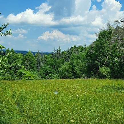 17.6 Acres of Recreational Land for Sale in Mansfield, Pennsylvania