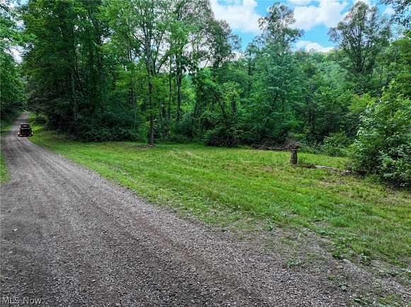 78.8 Acres of Recreational Land for Sale in Plainfield, Ohio