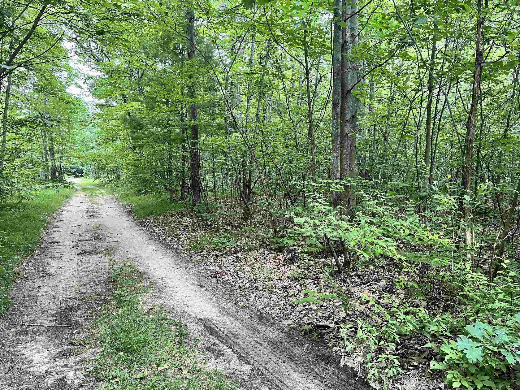 11.25 Acres of Land for Sale in Harrison, Michigan