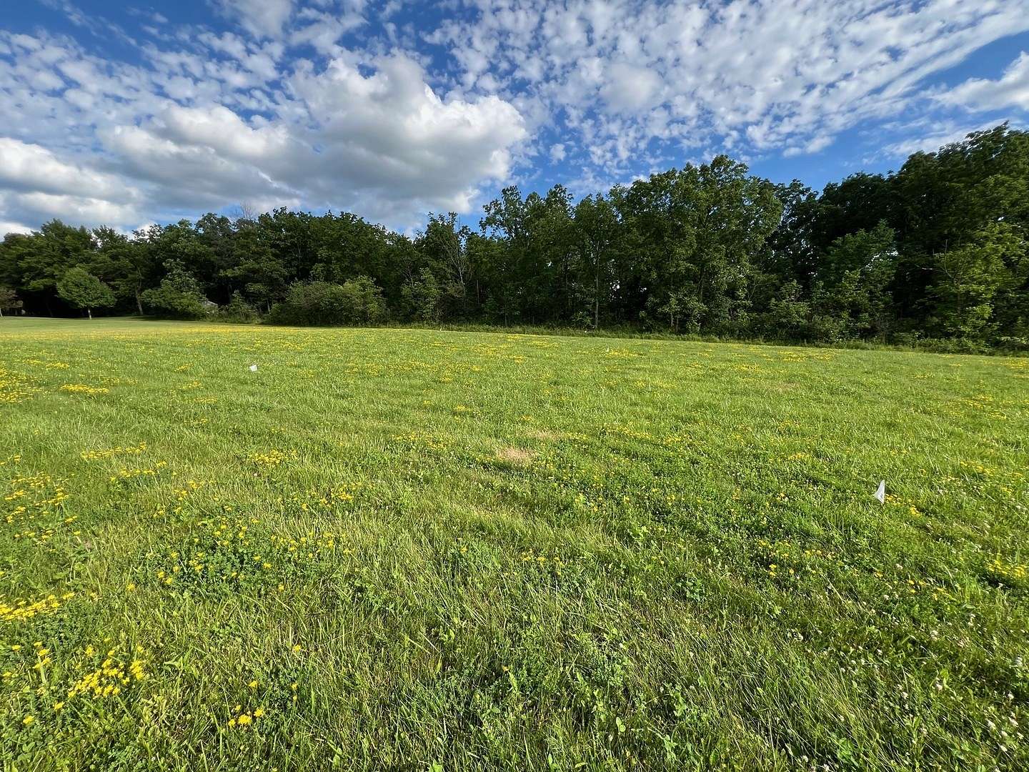 1.01 Acres of Residential Land for Sale in Wadsworth, Illinois