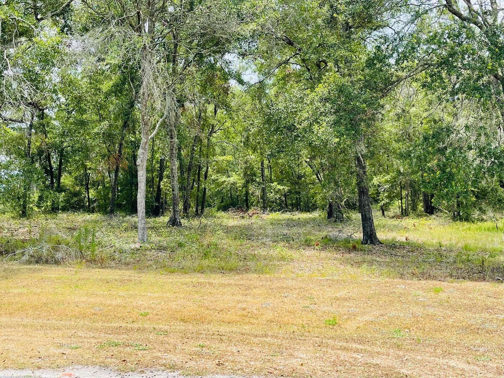 2.66 Acres of Residential Land for Sale in Pinetta, Florida