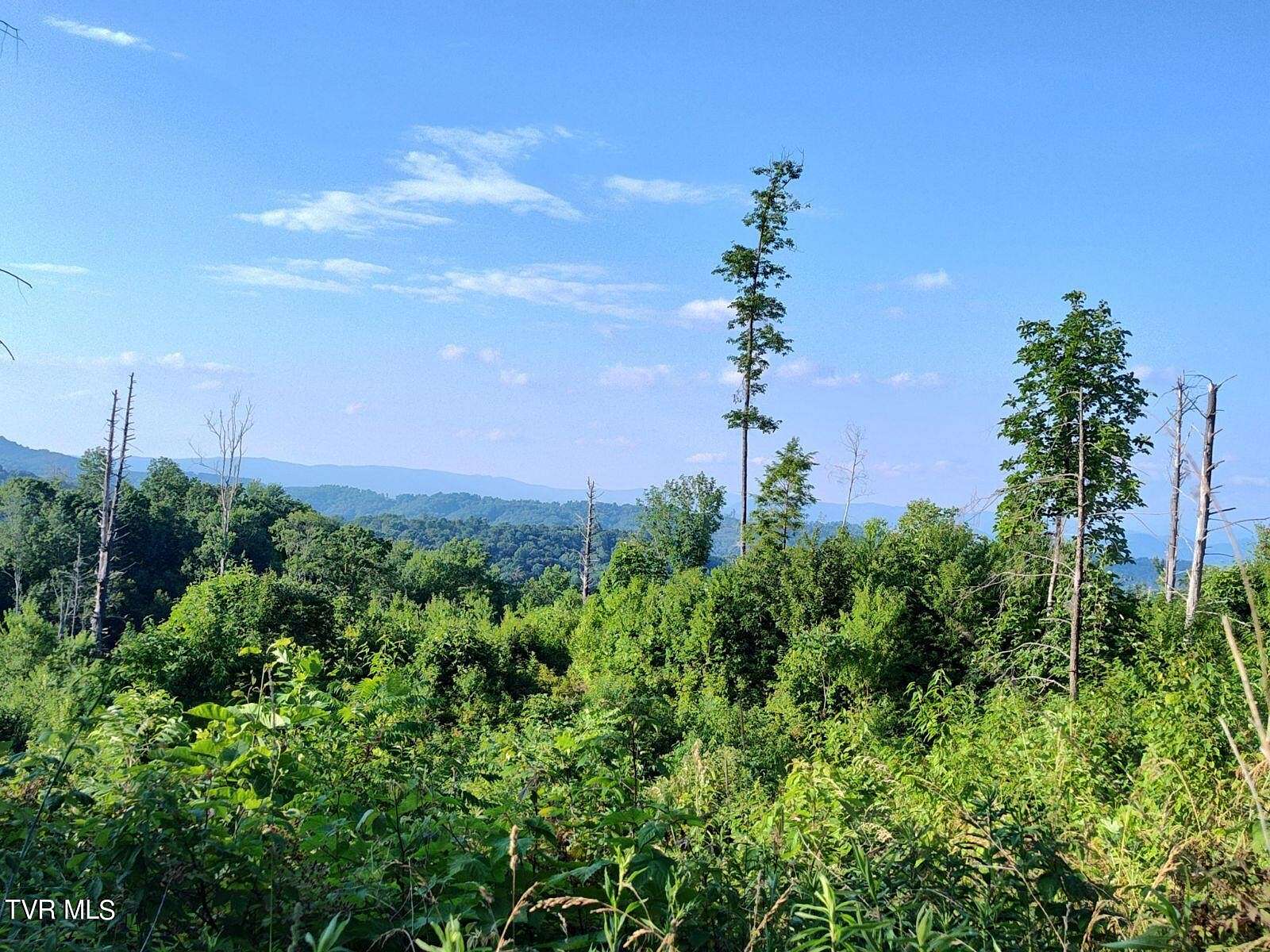 7.01 Acres of Residential Land for Sale in Roan Mountain, Tennessee
