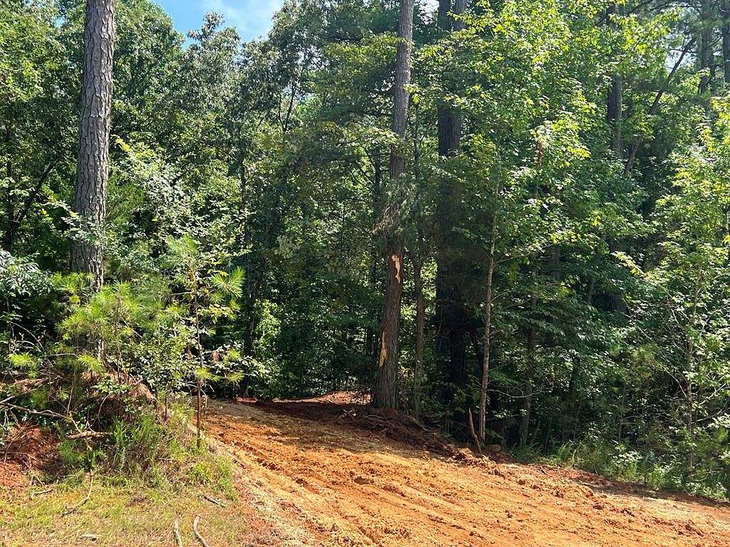 5 Acres of Residential Land for Sale in Cedar Grove, Tennessee