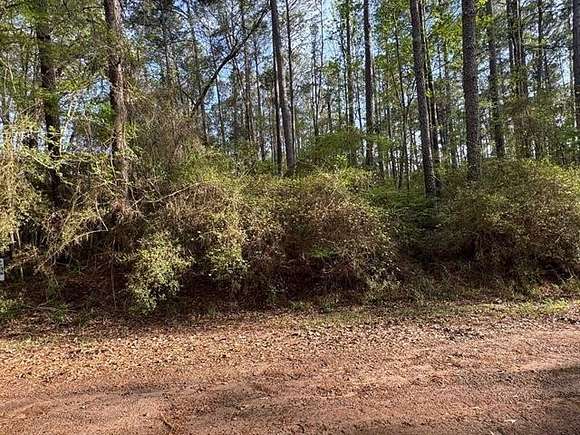 0.26 Acres of Residential Land for Sale in Hemphill, Texas