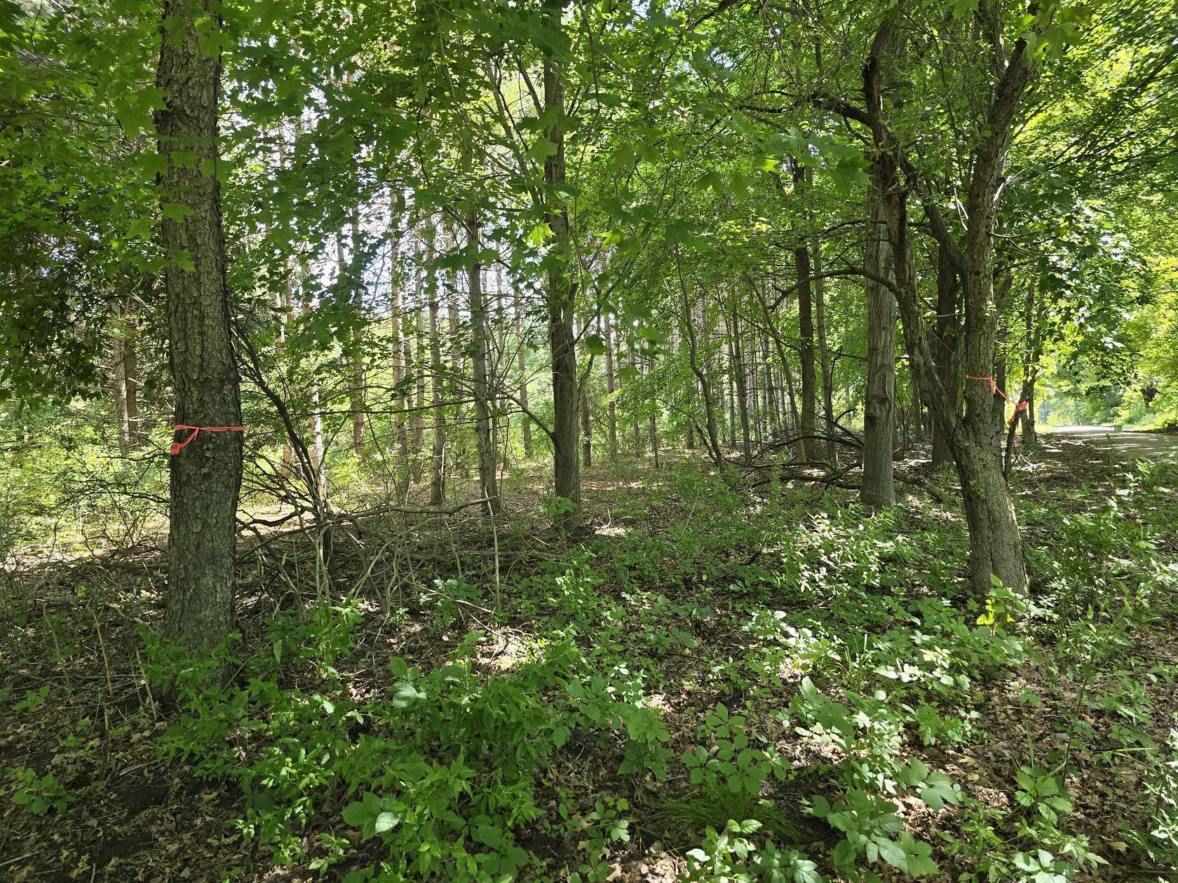 40 Acres of Recreational Land for Sale in Barryton, Michigan