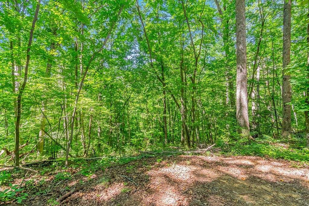9.48 Acres of Residential Land for Sale in Ball Ground, Georgia