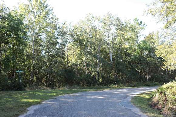 10.1 Acres of Land for Sale in Milton, Florida