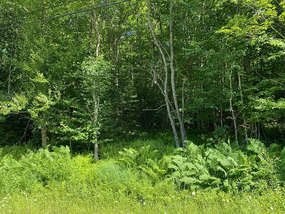 6.7 Acres of Residential Land for Sale in Thendara, New York