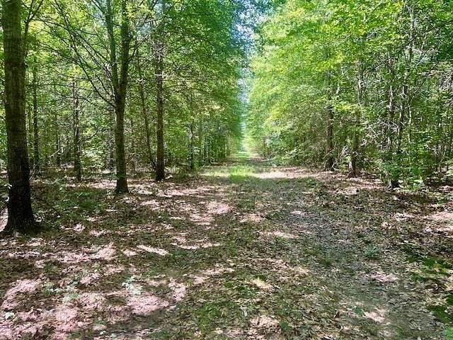 205 Acres of Recreational Land & Farm for Sale in Bastrop, Louisiana