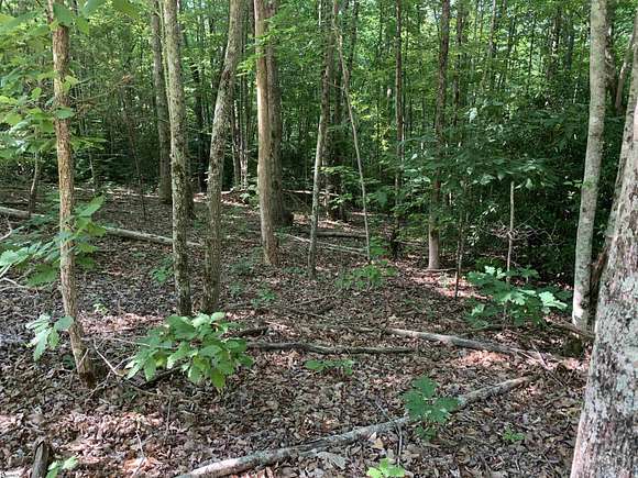 2 Acres of Residential Land for Sale in Travelers Rest, South Carolina