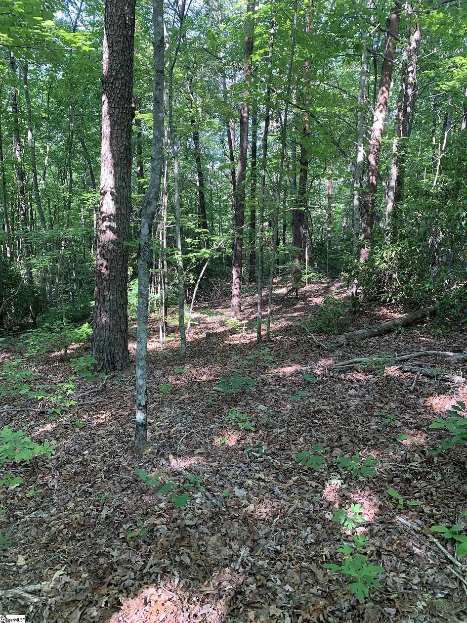 1.43 Acres of Residential Land for Sale in Travelers Rest, South Carolina
