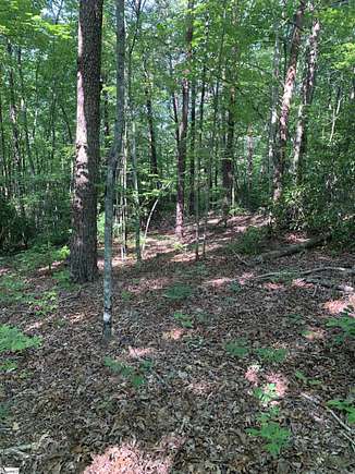 1.43 Acres of Residential Land for Sale in Travelers Rest, South Carolina