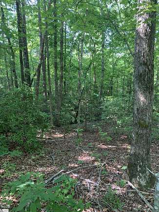 1.42 Acres of Residential Land for Sale in Travelers Rest, South Carolina