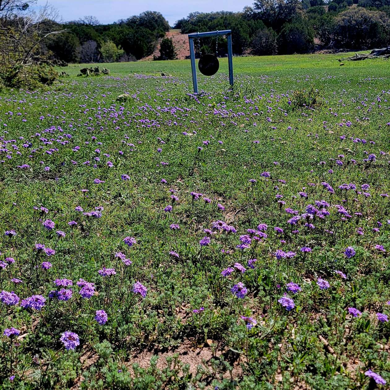 1,005 Acres of Recreational Land with Home for Sale in Goldthwaite, Texas