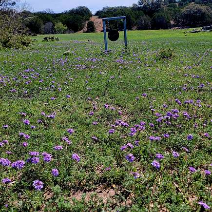 1,005 Acres of Recreational Land with Home for Sale in Goldthwaite, Texas