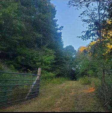 88 Acres of Recreational Land for Sale in Sandy Hook, Kentucky