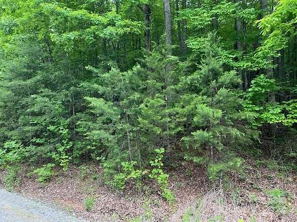 1 Acres of Residential Land for Sale in Marion, North Carolina