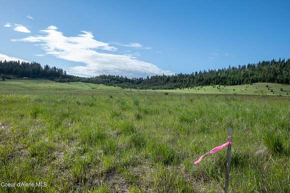 20.8 Acres of Land for Sale in Plummer, Idaho