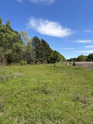 45 Acres of Recreational Land & Farm for Sale in Taylor, Arkansas
