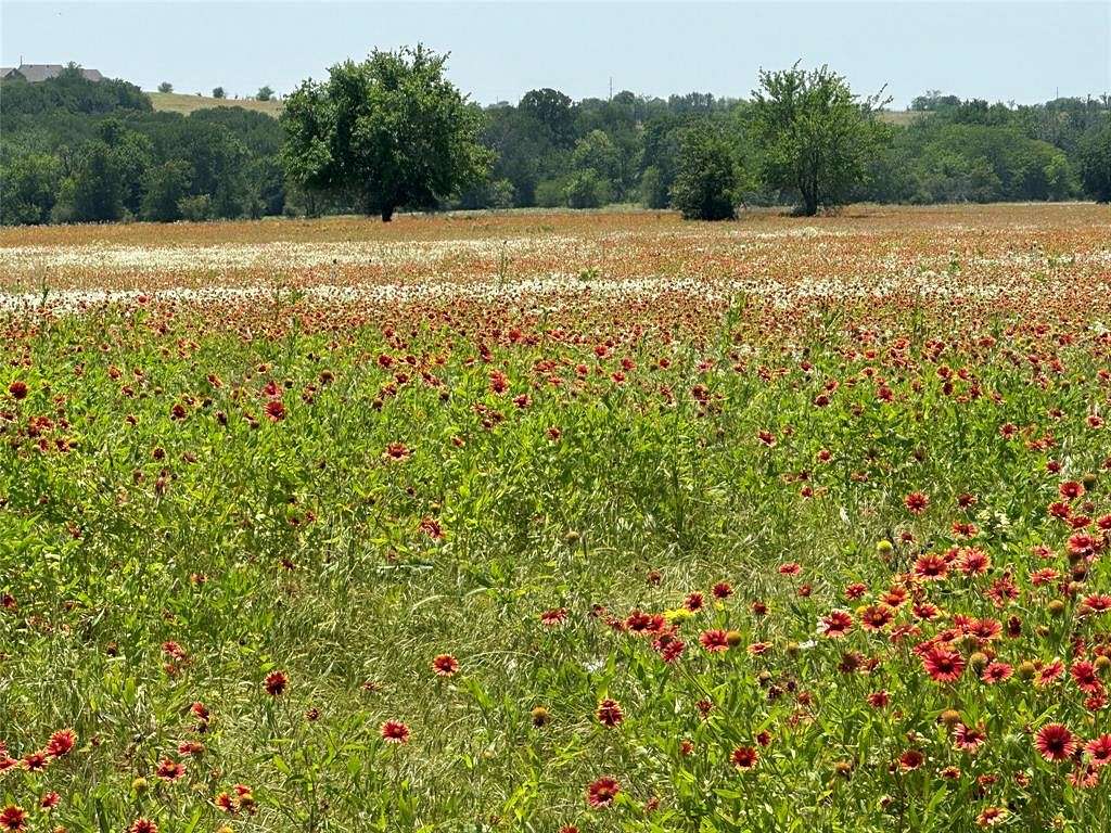 190 Acres of Recreational Land & Farm for Sale in Decatur, Texas