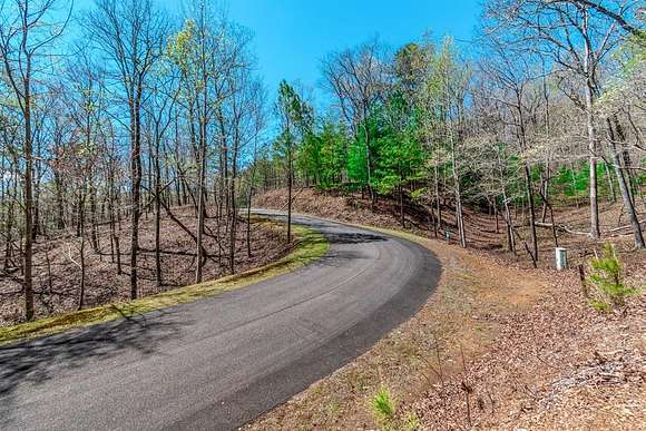 1 Acres of Residential Land for Sale in Ellijay, Georgia