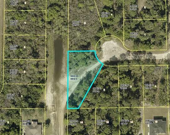 0.34 Acres of Residential Land for Sale in Lehigh Acres, Florida