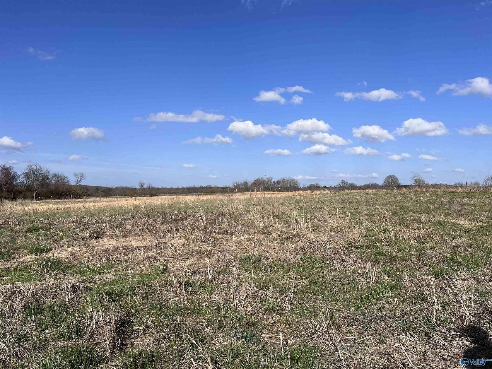 64 Acres of Land for Sale in Section, Alabama