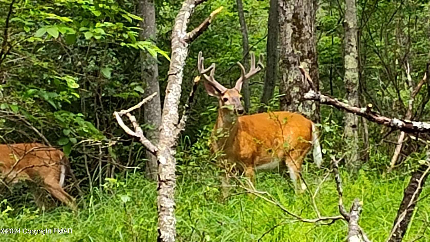 2.02 Acres of Residential Land for Sale in Pocono Lake, Pennsylvania