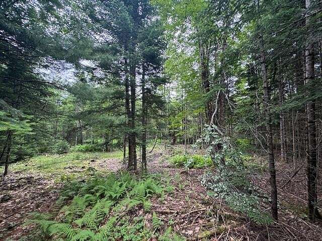 5.29 Acres of Land for Sale in Palmyra, Maine