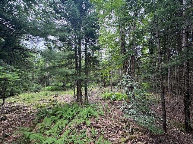 5.29 Acres of Land for Sale in Palmyra, Maine - LandSearch