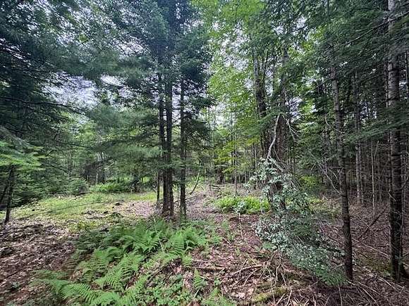 5.29 Acres of Land for Sale in Palmyra, Maine