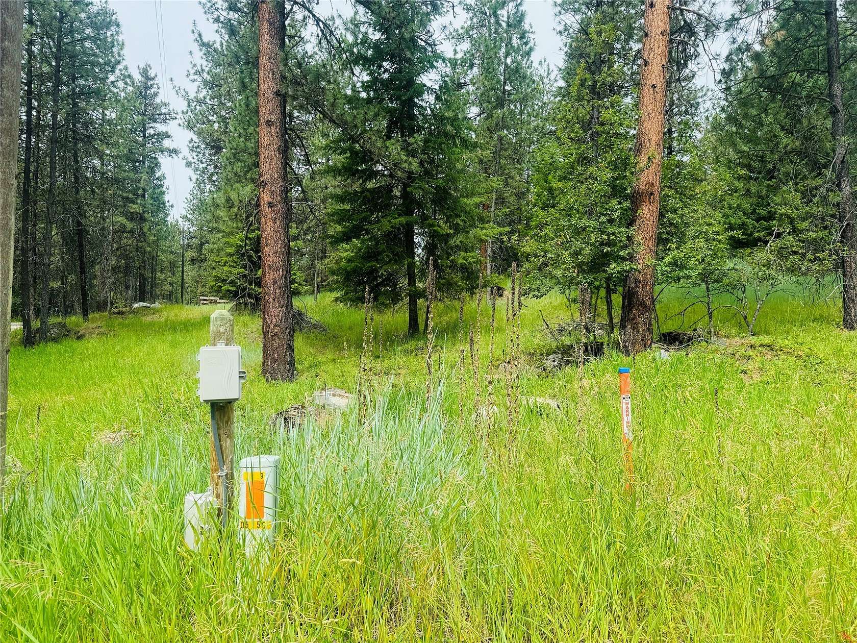 1.01 Acres of Residential Land for Sale in Thompson Falls, Montana