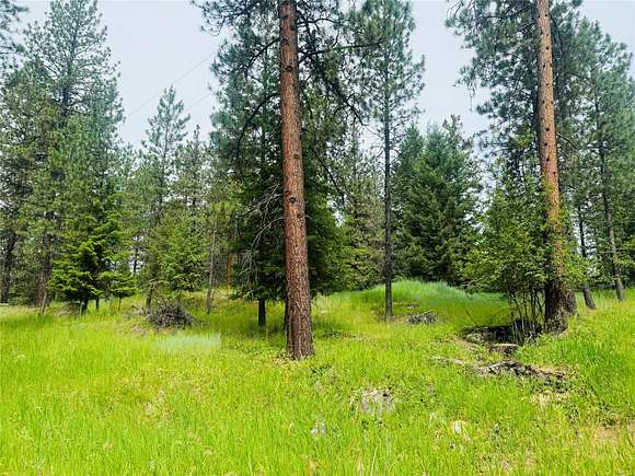1.01 Acres of Residential Land for Sale in Thompson Falls, Montana