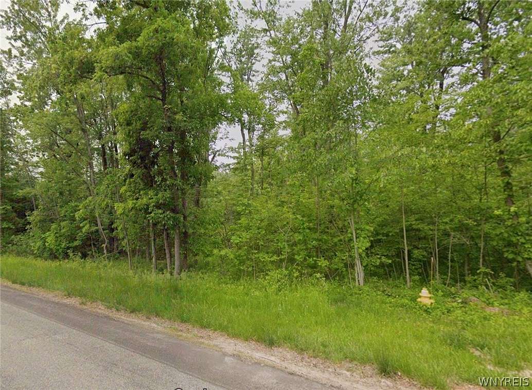 18.19 Acres of Agricultural Land for Sale in Newstead Town, New York