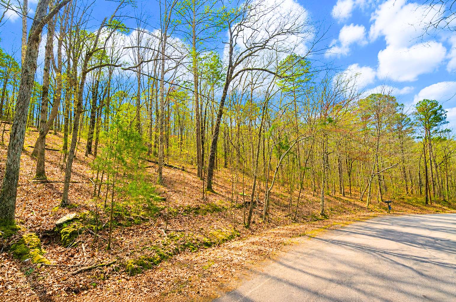 0.33 Acres of Residential Land for Sale in Fairfield Bay, Arkansas
