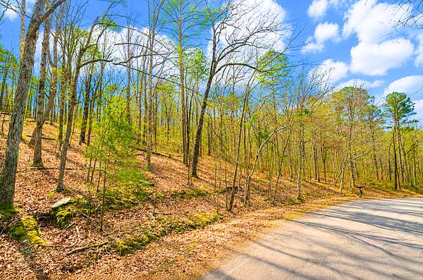 0.33 Acres of Residential Land for Sale in Fairfield Bay, Arkansas