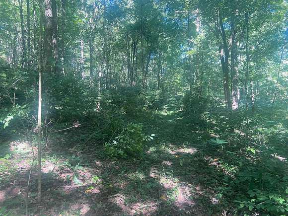 2.66 Acres of Residential Land for Sale in West Baden Springs, Indiana